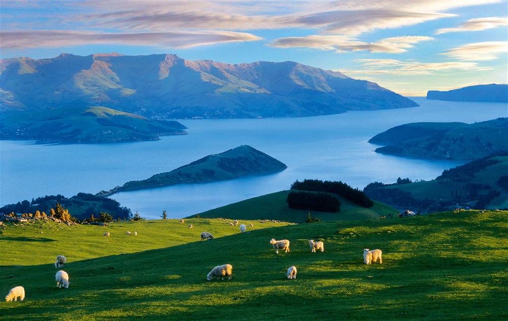 Working Holiday in New Zealand for Argentinians