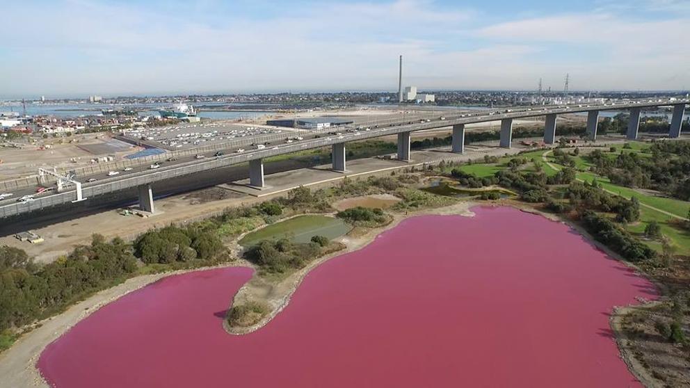 El lago australiano que se tiñe de rosa todos los veranos
