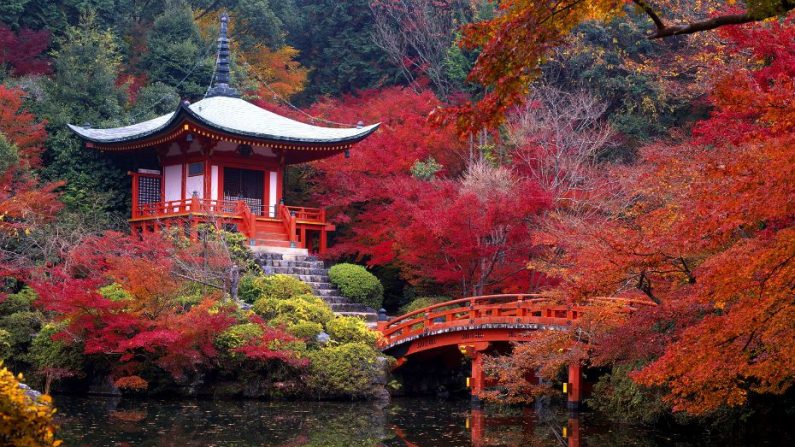 Working Holiday in Japan for Argentinians