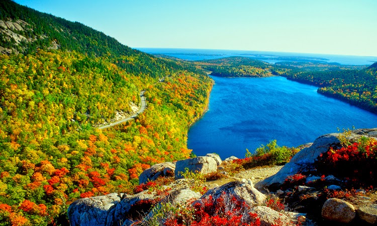 The Best National Parks in the United States to Visit in Spring