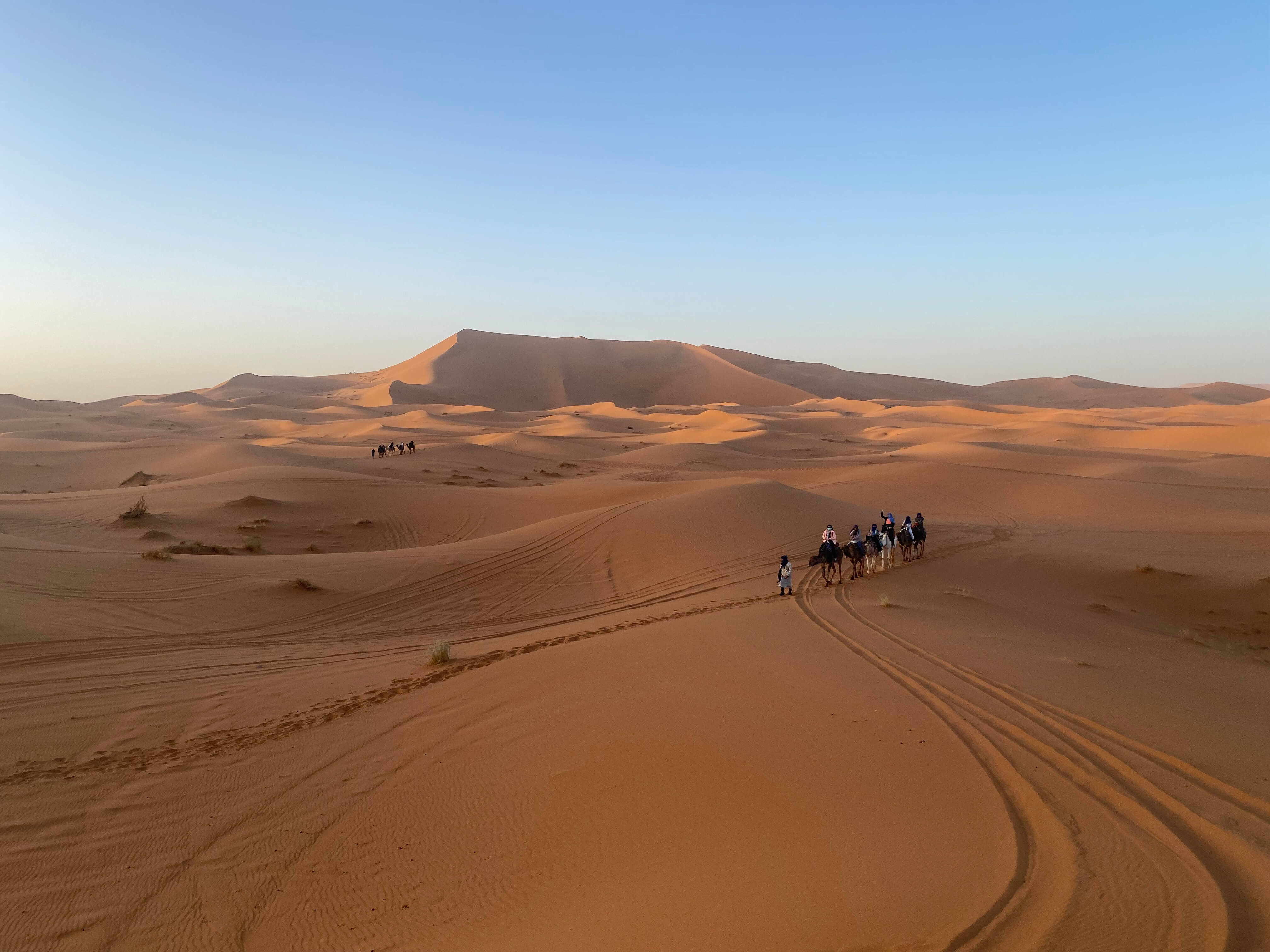 A Journey Through the Sahara Desert 