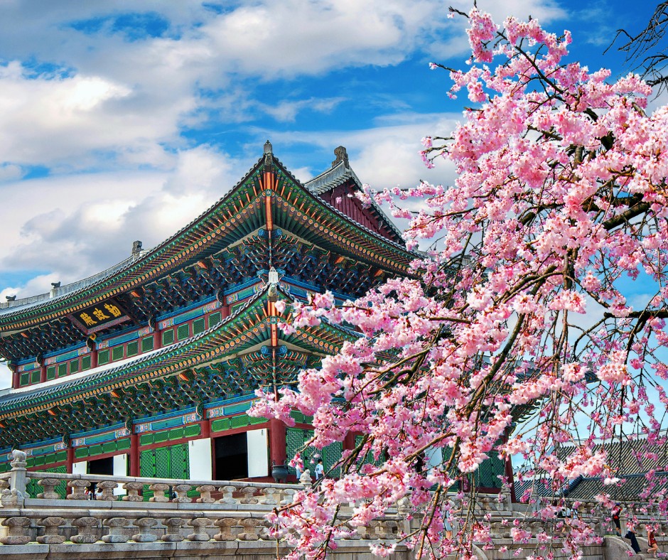 Seoul: Useful Information on Getting Around (Public Transportation)